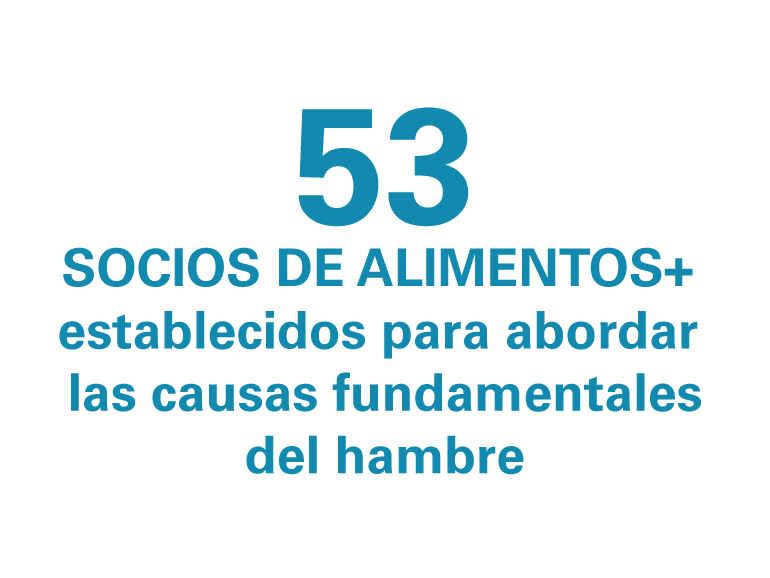 53 Socios de Alimentos+ 
establecidos para abordar 
las causas fundamentales
del hambre