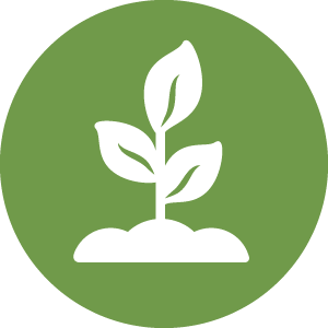 growing plant icon