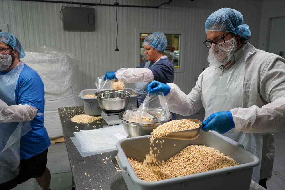 Volunteers wearing hairnets, gloves and protective aprons scoop dry food into clear bags for weighing and packing.